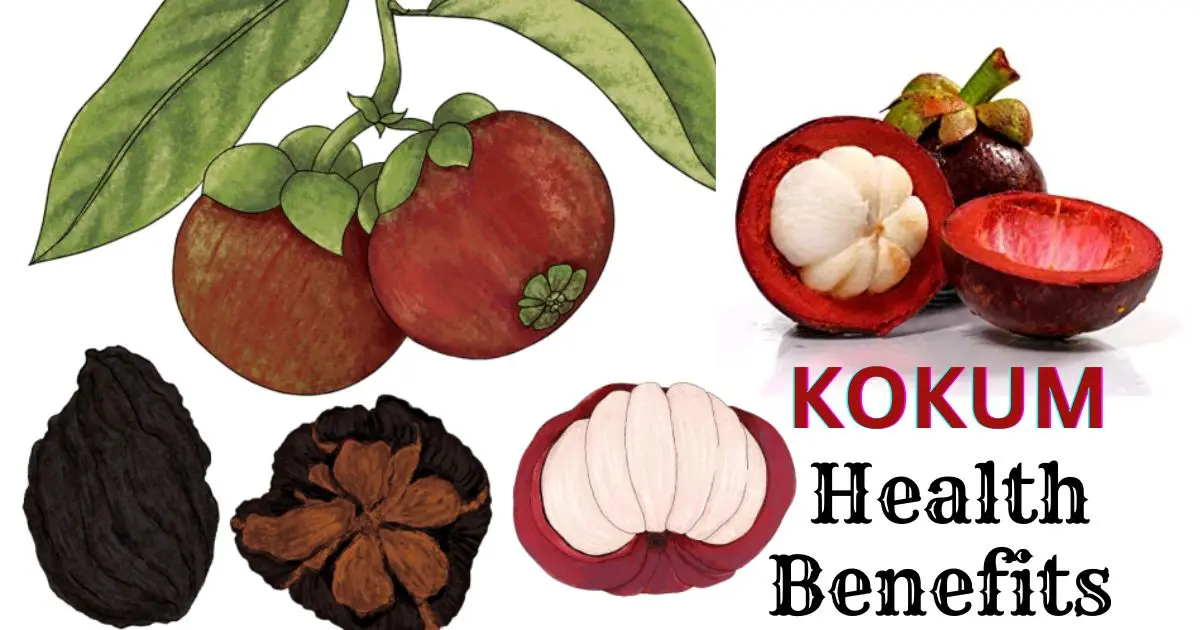 7 amazing health benefits of kokum