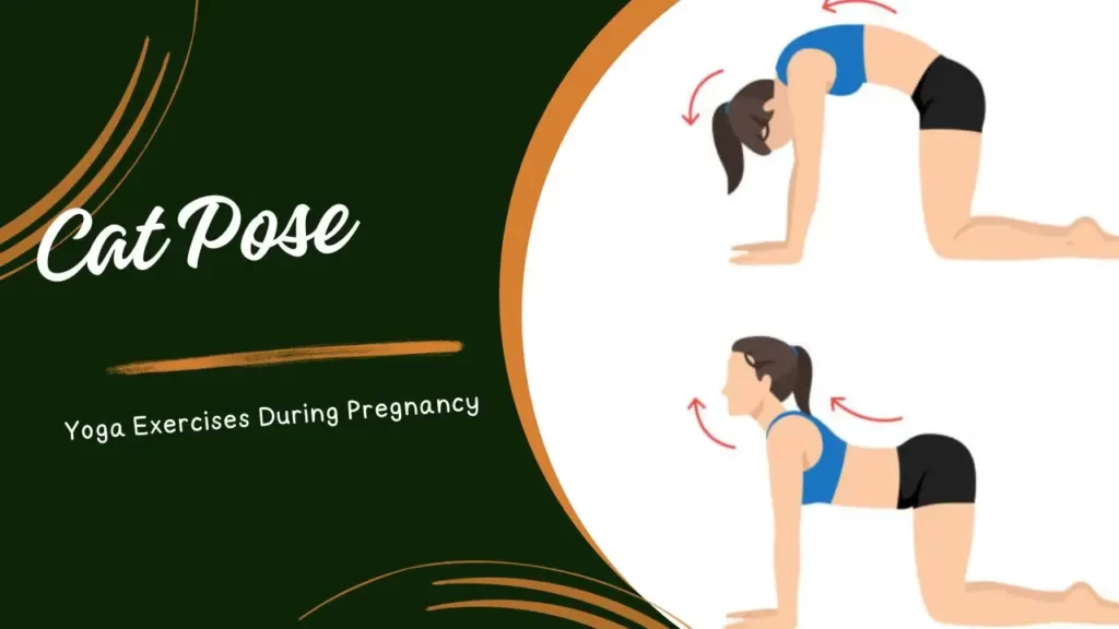 Yoga Exercises During Pregnancy