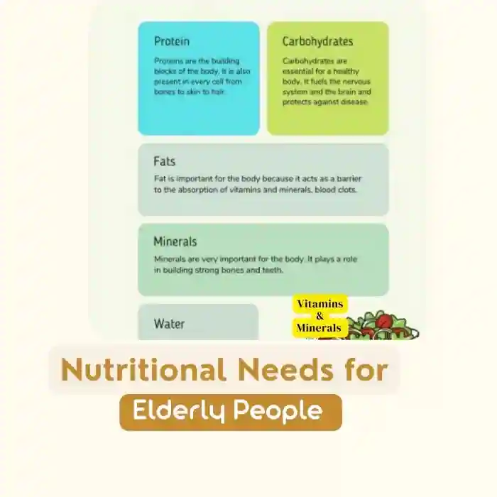Nutritional Requirements for Elderly People