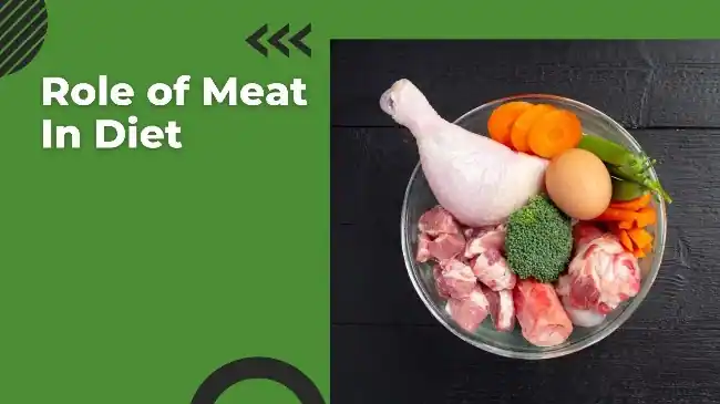 role of meat in diet