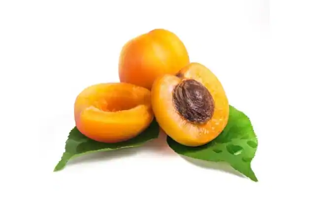 best exotic fruits Apricot
